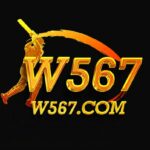W567 Game